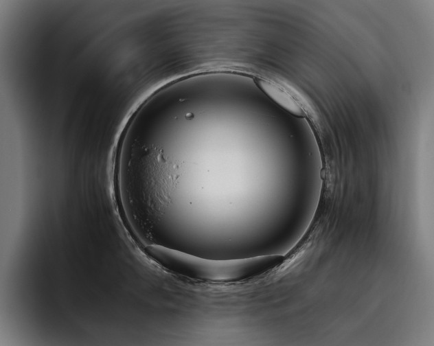 X0000093531102200710121555