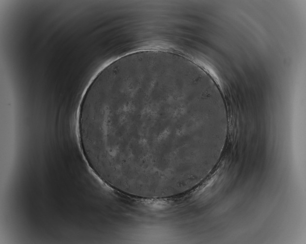 X0000093531103200710121555