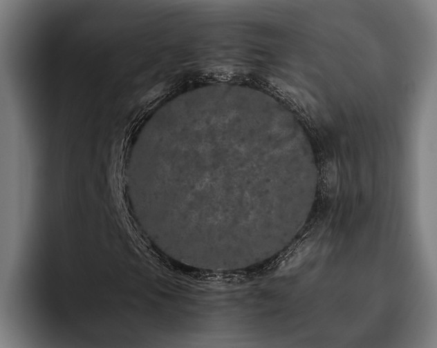 X0000093531105200710121554