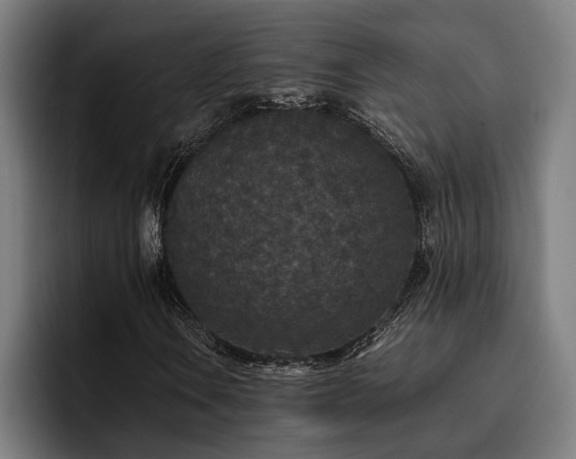 X0000093531106200710121554
