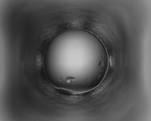 X0000093531107200710121554