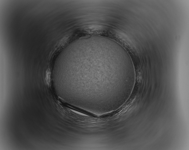X0000093531108200710121554