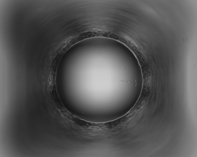 X0000093531110200710121554