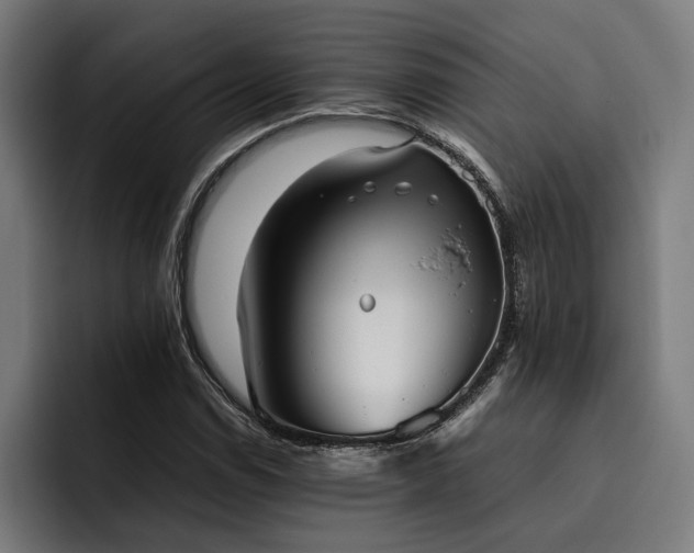 X0000093531114200710121554