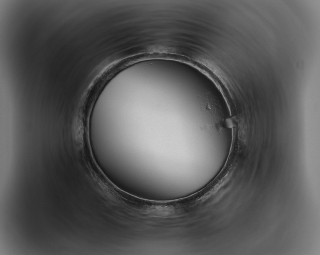 X0000093531115200710121554