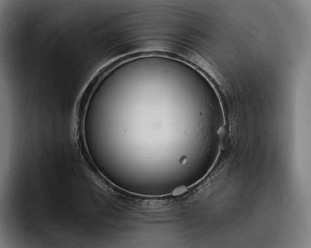 X0000093531116200710121554