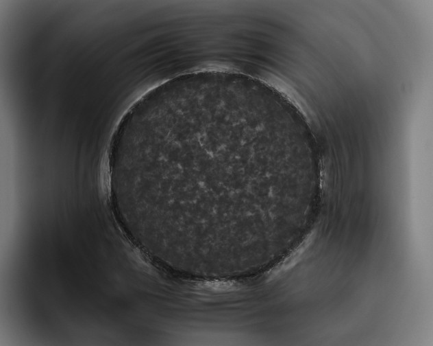 X0000093531117200710121554
