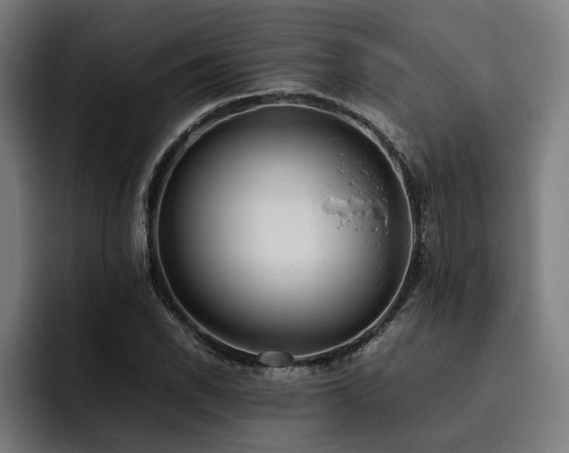 X0000093531118200710121554