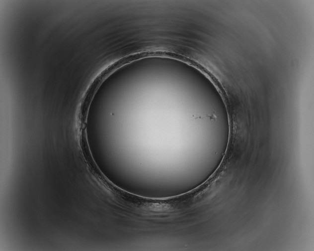 X0000093531119200710121554