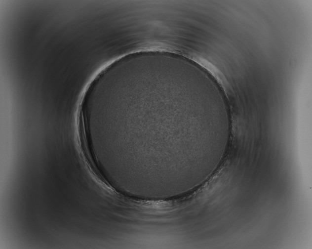 X0000093531120200710121554