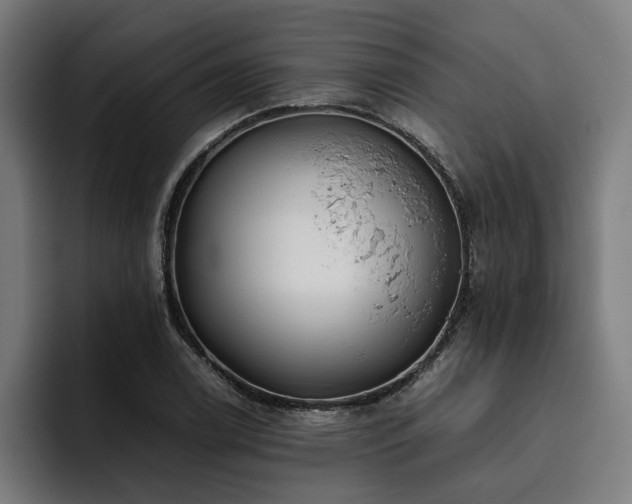 X0000093531122200710121554