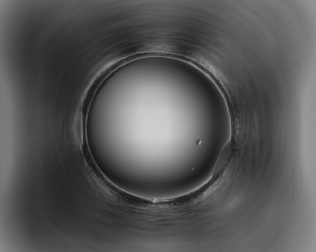 X0000093531123200710121554