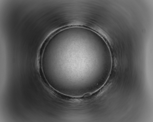 X0000093531124200710121554