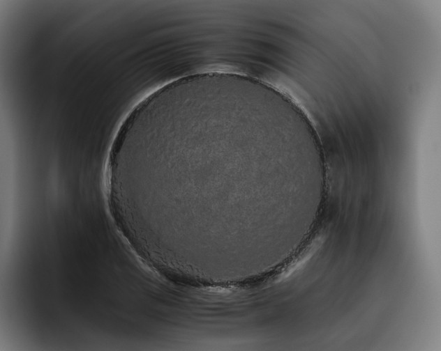 X0000093531125200710121554