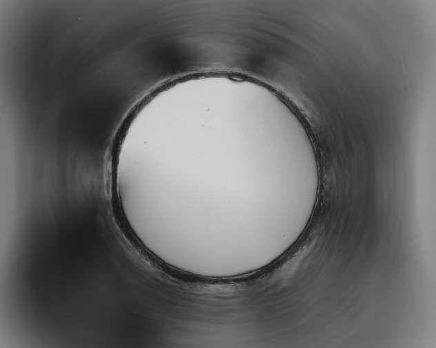 X0000093531126200710121554