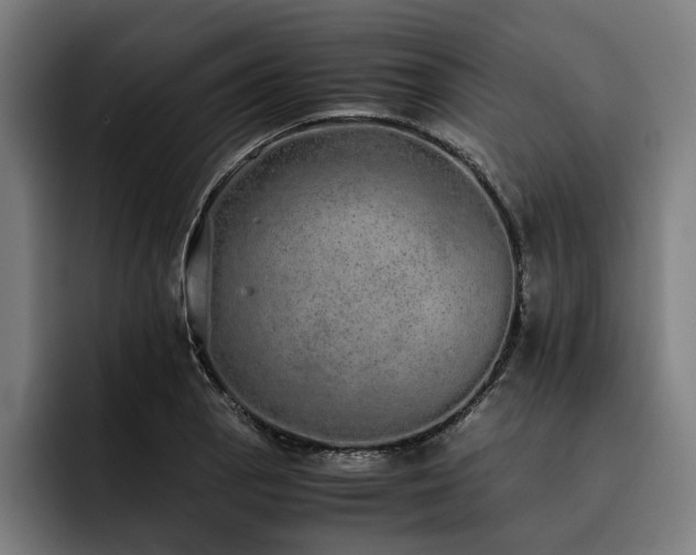 X0000093531129200710121554