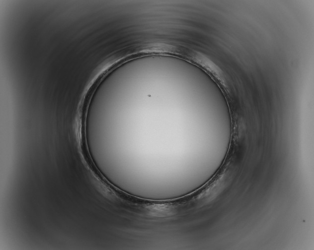 X0000093531130200710121554