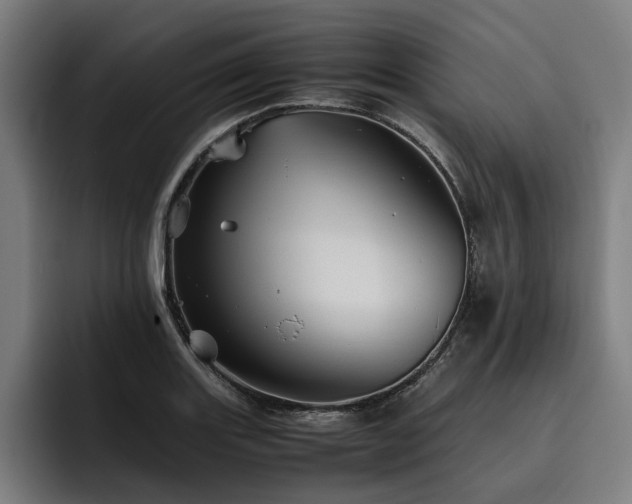 X0000093531131200710121554