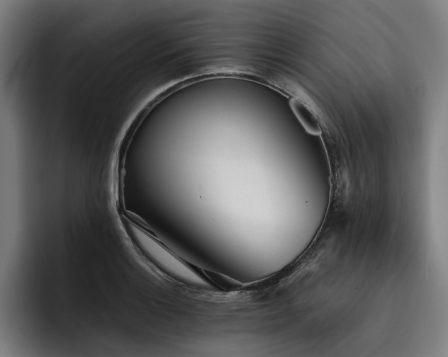 X0000093531132200710121554