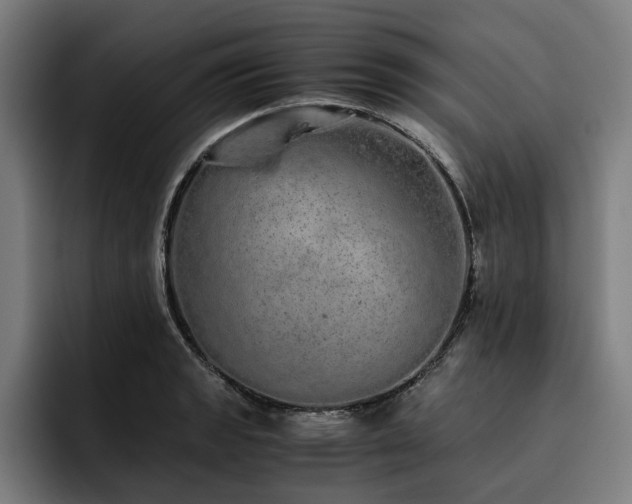 X0000093531133200710121554