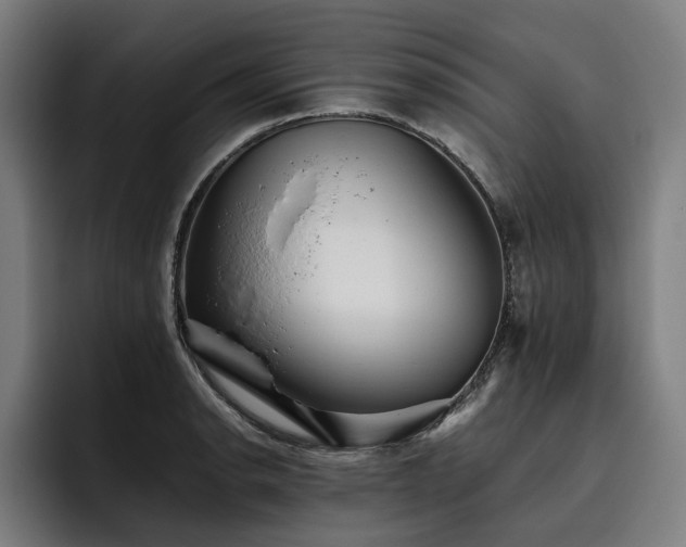 X0000093531134200710121554