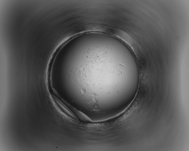 X0000093531135200710121554