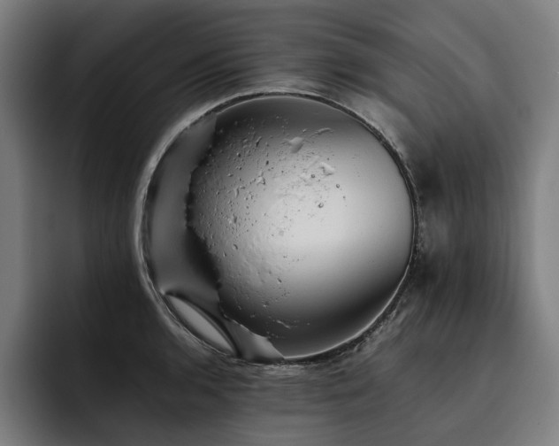 X0000093531136200710121554