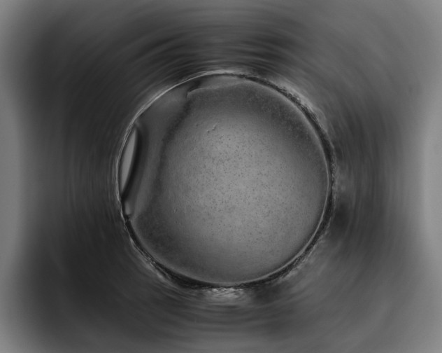 X0000093531137200710121554