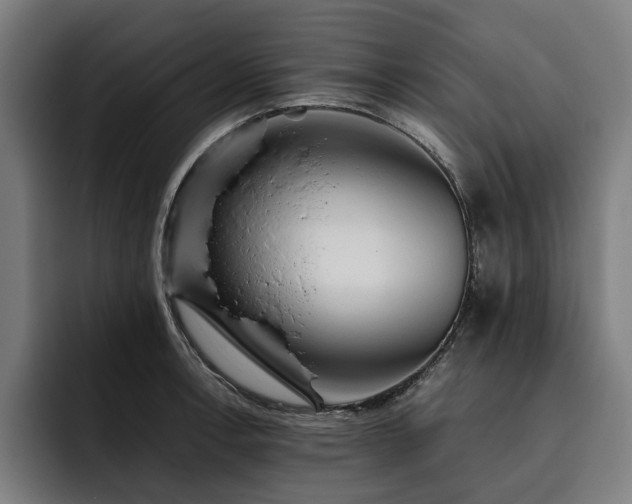 X0000093531138200710121554