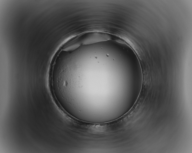 X0000093531139200710121554