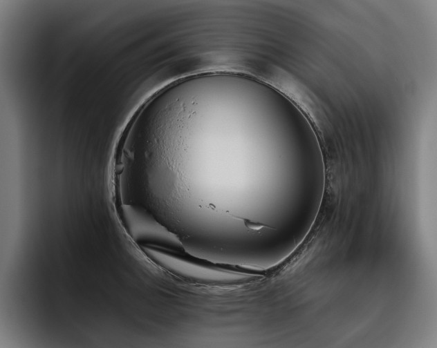 X0000093531140200710121554