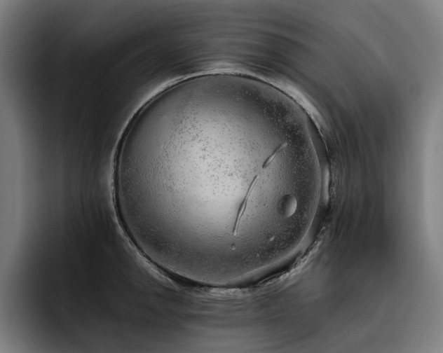 X0000093531142200710121554