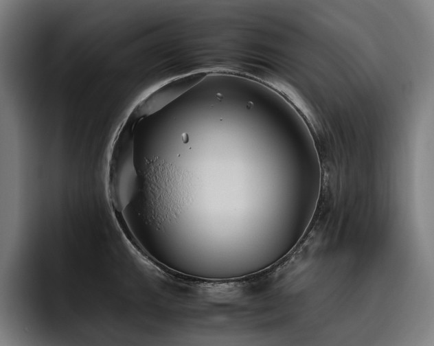 X0000093531143200710121554