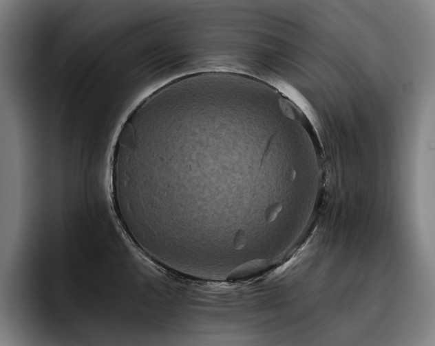 X0000093531144200710121554