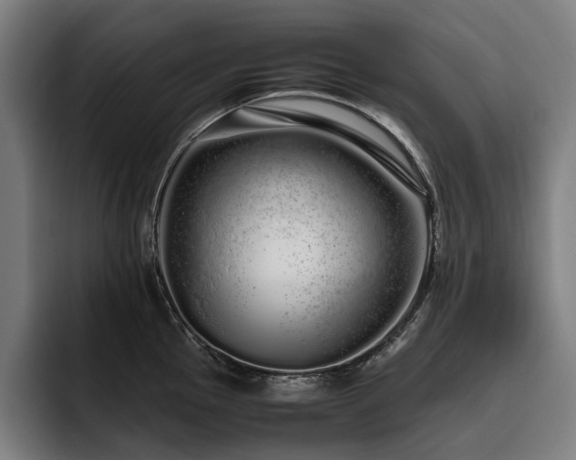X0000093531145200710121554