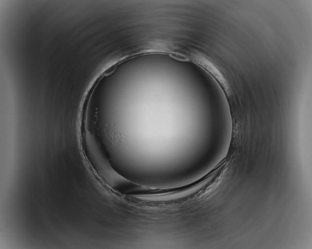 X0000093531146200710121554