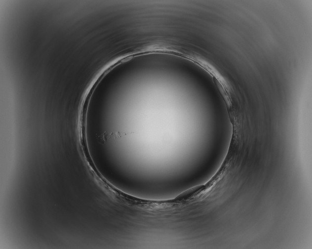 X0000093531148200710121554