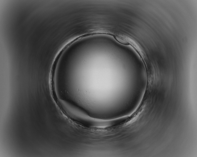 X0000093531149200710121554