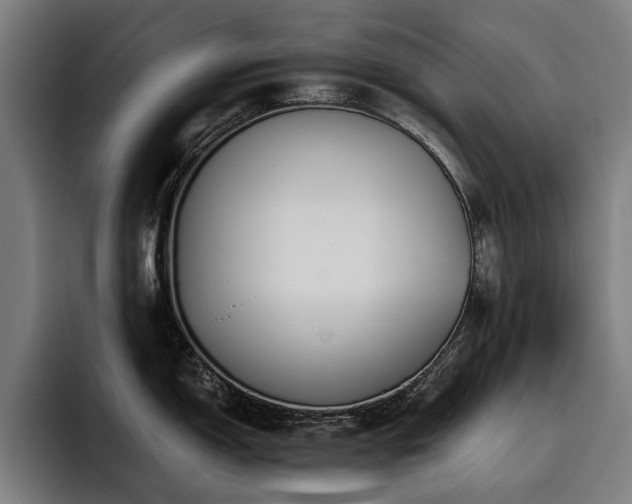 X0000093531150200710121554