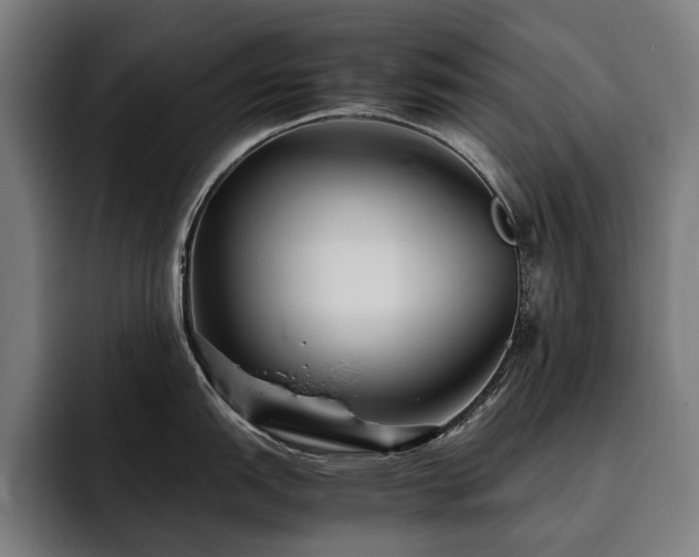 X0000093531151200710121555