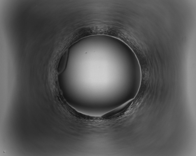 X0000093531153200710121554