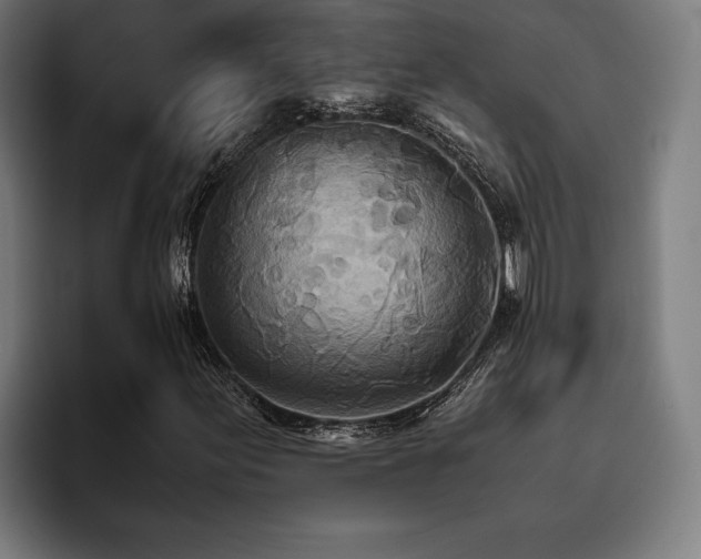 X0000093531155200710121554
