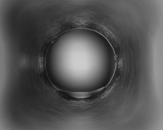 X0000093531156200710121554