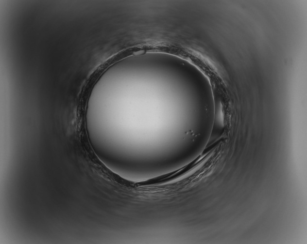 X0000093531160200710121554