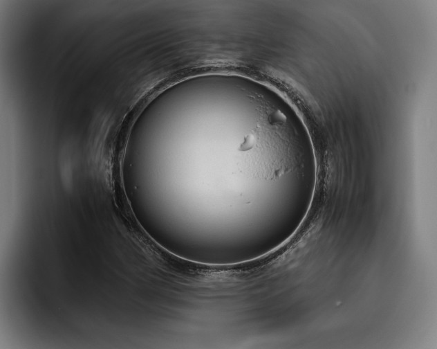 X0000093531162200710121554