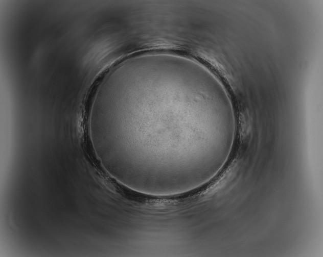 X0000093531163200710121554