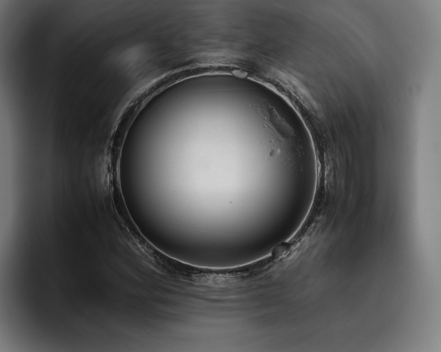 X0000093531164200710121554