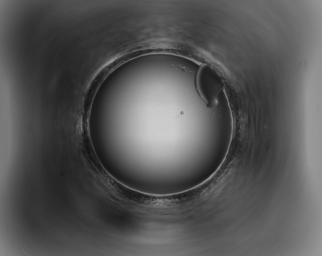 X0000093531166200710121554