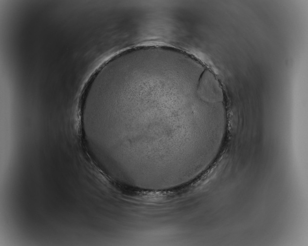 X0000093531167200710121554