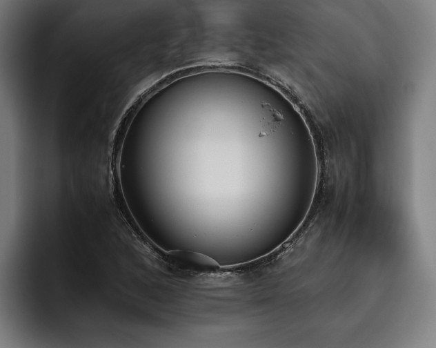 X0000093531168200710121554